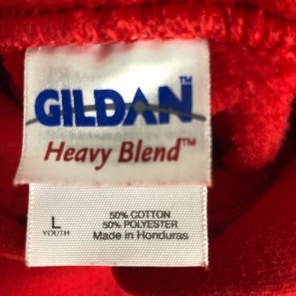 Gildan "Charlevoix" Hoodie - Youth Size Large - Picture 4 of 9